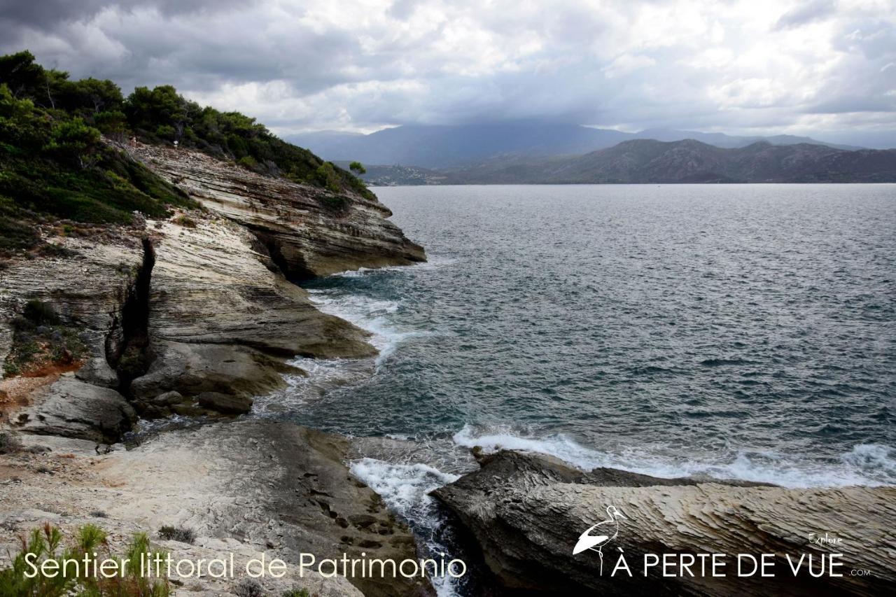 Appartamento Chambre d'hôtes à 5mn des plages Patrimonio Esterno foto