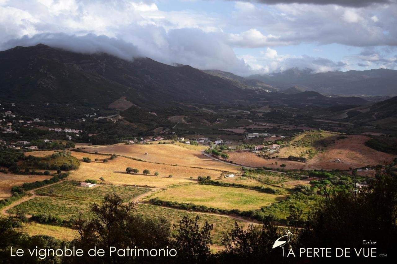 Appartamento Chambre d'hôtes à 5mn des plages Patrimonio Esterno foto