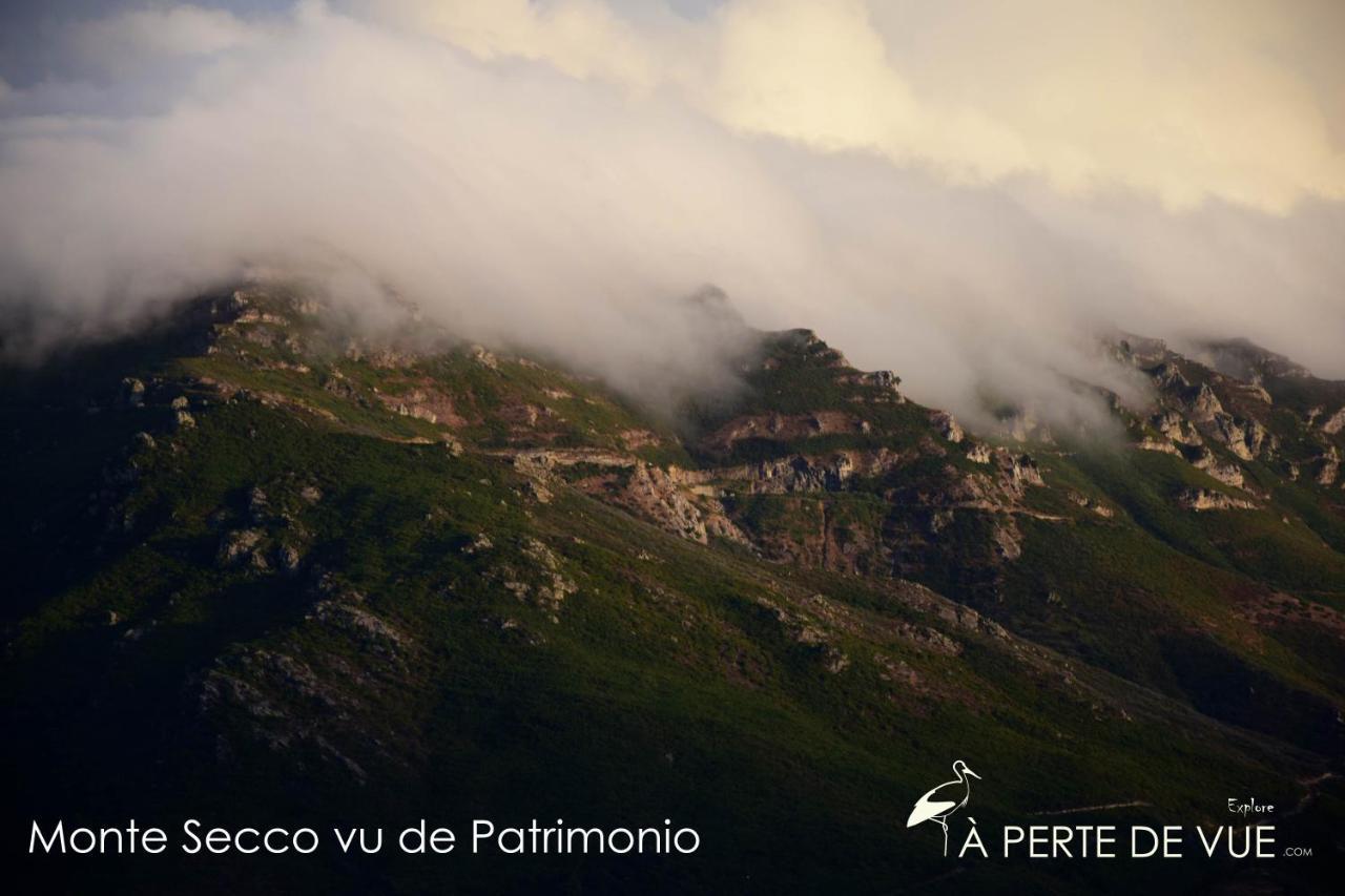 Appartamento Chambre d'hôtes à 5mn des plages Patrimonio Esterno foto