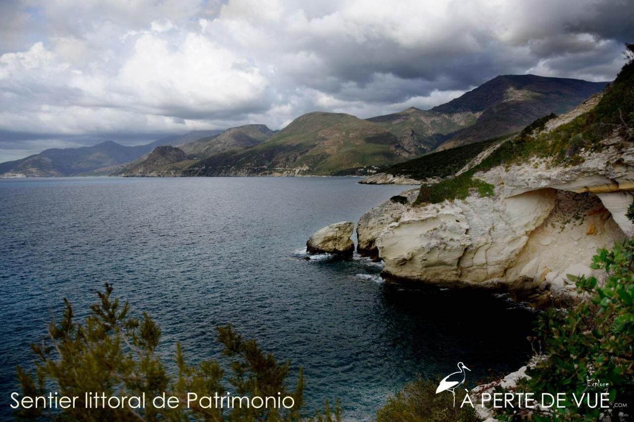 Appartamento Chambre d'hôtes à 5mn des plages Patrimonio Esterno foto