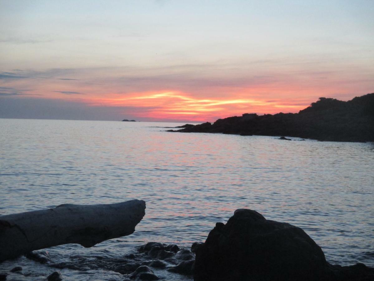 Appartamento Chambre d'hôtes à 5mn des plages Patrimonio Esterno foto