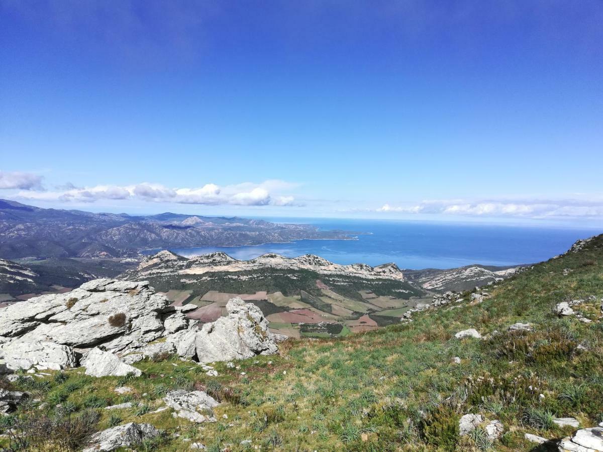 Appartamento Chambre d'hôtes à 5mn des plages Patrimonio Esterno foto